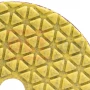 АГШК DLT №11, для сухой шлифовки, #30, 100мм, арт.0935